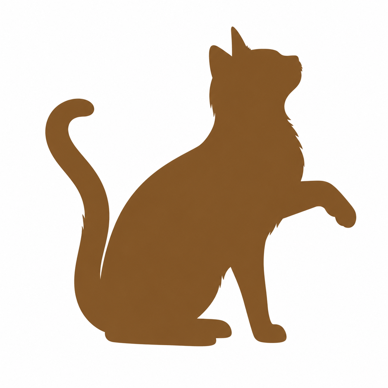 Categoría — Gato adulto