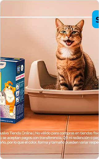 Promoción gatos